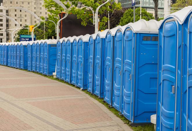 Seasonal porta potty units set up at a Houghton, Michigan venue